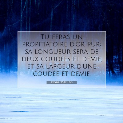 Picture 07 - Exode 25:17 LSG - Tu feras un propitiatoire d'or pur; sa longueur - Bible Verse Picture