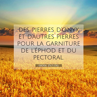 Picture 07 - Exode 25:7 LSG - des pierres d'onyx et d'autres pierres pour la - Bible Verse Picture
