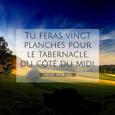 Picture 07 - Exode 26:18 LSG - Tu feras vingt planches pour le tabernacle, du - Bible Verse Picture