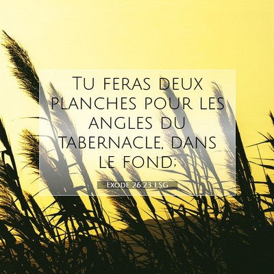 Picture 07 - Exode 26:23 LSG - Tu feras deux planches pour les angles du - Bible Verse Picture