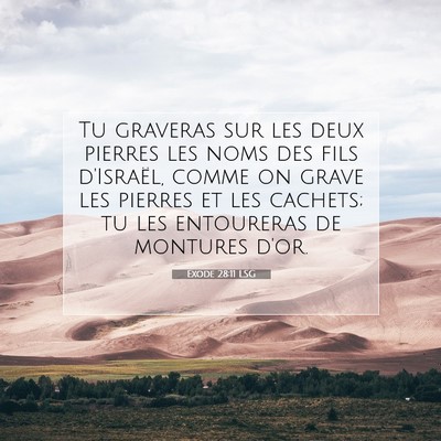 Picture 07 - Exode 28:11 LSG - Tu graveras sur les deux pierres les noms des - Bible Verse Picture