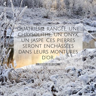 Picture 07 - Exode 28:20 LSG - quatrième rangée, une chrysolithe, un onyx, un - Bible Verse Picture
