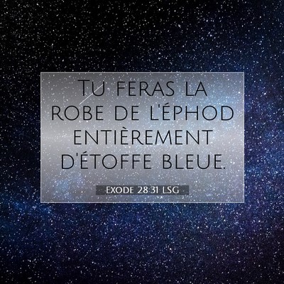 Picture 07 - Exode 28:31 LSG - Tu feras la robe de l'éphod entièrement - Bible Verse Picture