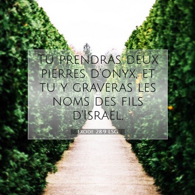 Picture 07 - Exode 28:9 LSG - Tu prendras deux pierres d'onyx, et tu y graveras - Bible Verse Picture