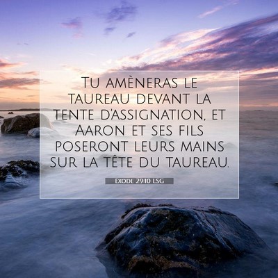 Picture 07 - Exode 29:10 LSG - Tu amèneras le taureau devant la tente - Bible Verse Picture