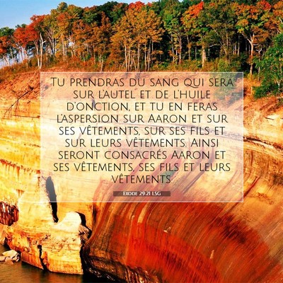 Picture 07 - Exode 29:21 LSG - Tu prendras du sang qui sera sur l'autel et de - Bible Verse Picture
