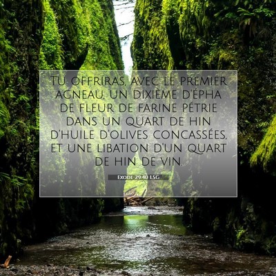 Picture 07 - Exode 29:40 LSG - Tu offriras, avec le premier agneau, un dixième - Bible Verse Picture