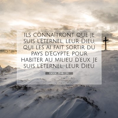 Picture 07 - Exode 29:46 LSG - Ils connaîtront que je suis l'Eternel, leur - Bible Verse Picture