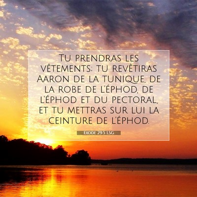 Picture 07 - Exode 29:5 LSG - Tu prendras les vêtements; tu revêtiras Aaron - Bible Verse Picture