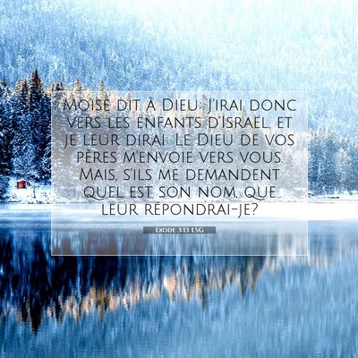 Picture 07 - Exode 3:13 LSG - Moïse dit à Dieu: J'irai donc vers les enfants - Bible Verse Picture