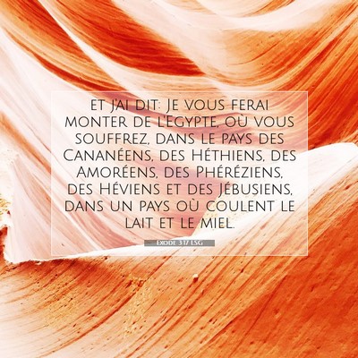 Picture 07 - Exode 3:17 LSG - et j'ai dit: Je vous ferai monter de l'Egypte, - Bible Verse Picture
