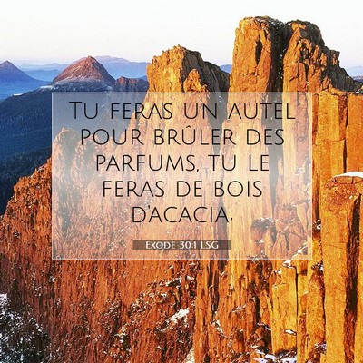 Picture 07 - Exode 30:1 LSG - Tu feras un autel pour brûler des parfums, tu le - Bible Verse Picture