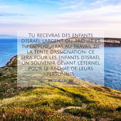 Picture 07 - Exode 30:16 LSG - Tu recevras des enfants d'Israël l'argent du - Bible Verse Picture
