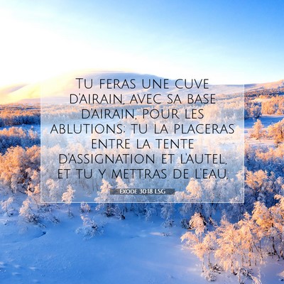 Picture 07 - Exode 30:18 LSG - Tu feras une cuve d'airain, avec sa base - Bible Verse Picture