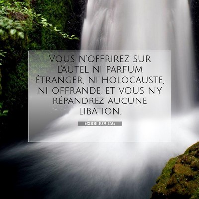 Picture 07 - Exode 30:9 LSG - Vous n'offrirez sur l'autel ni parfum étranger, - Bible Verse Picture