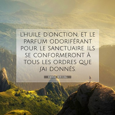 Picture 07 - Exode 31:11 LSG - l'huile d'onction, et le parfum odoriférant pour - Bible Verse Picture