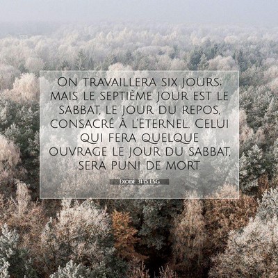 Picture 07 - Exode 31:15 LSG - On travaillera six jours; mais le septième jour - Bible Verse Picture