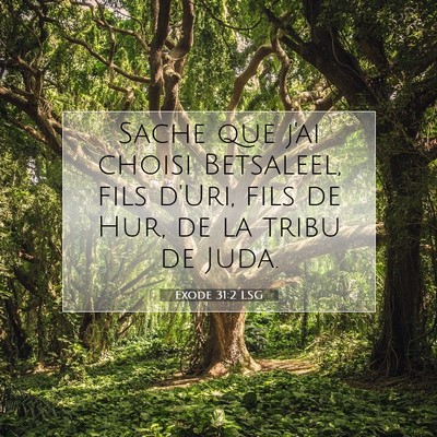 Picture 07 - Exode 31:2 LSG - Sache que j'ai choisi Betsaleel, fils d'Uri, fils - Bible Verse Picture