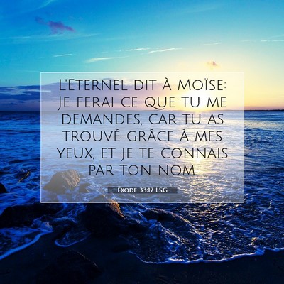 Picture 07 - Exode 33:17 LSG - L'Eternel dit à Moïse: Je ferai ce que tu me - Bible Verse Picture