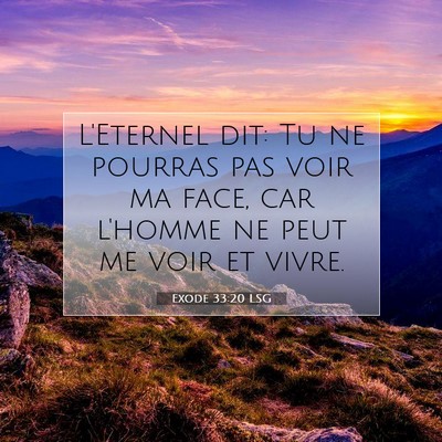 Picture 07 - Exode 33:20 LSG - L'Eternel dit: Tu ne pourras pas voir ma face, - Bible Verse Picture