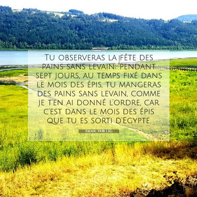 Picture 07 - Exode 34:18 LSG - Tu observeras la fête des pains sans levain; - Bible Verse Picture
