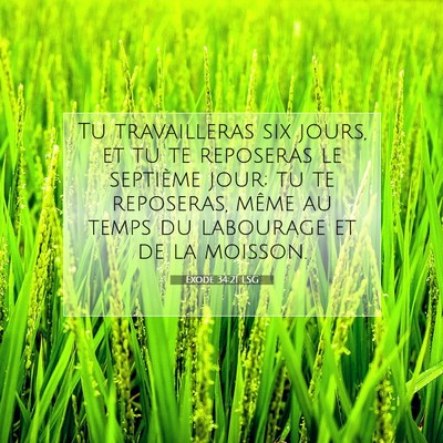Picture 07 - Exode 34:21 LSG - Tu travailleras six jours, et tu te reposeras le - Bible Verse Picture