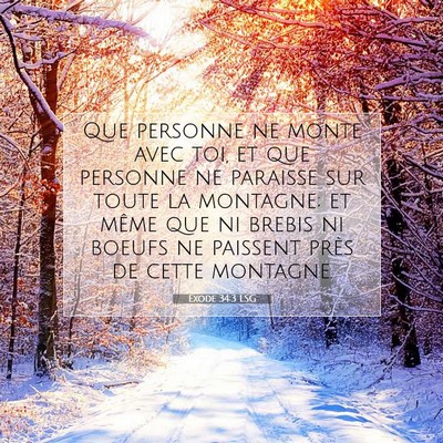 Picture 07 - Exode 34:3 LSG - Que personne ne monte avec toi, et que personne - Bible Verse Picture