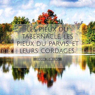 Picture 07 - Exode 35:18 LSG - les pieux du tabernacle, les pieux du parvis, et - Bible Verse Picture