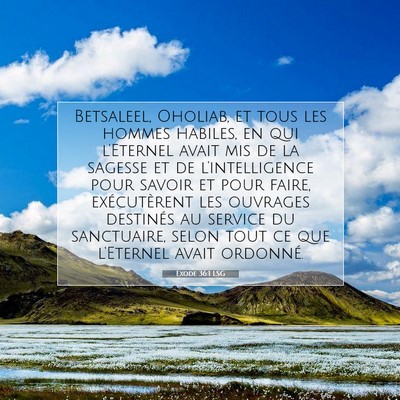 Picture 07 - Exode 36:1 LSG - Betsaleel, Oholiab, et tous les hommes habiles, - Bible Verse Picture