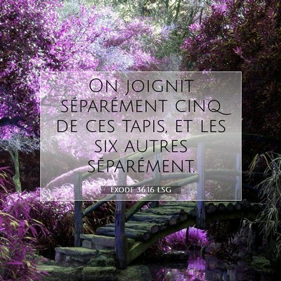 Picture 07 - Exode 36:16 LSG - On joignit séparément cinq de ces tapis, et les - Bible Verse Picture