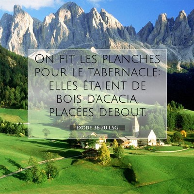 Picture 07 - Exode 36:20 LSG - On fit les planches pour le tabernacle; elles - Bible Verse Picture