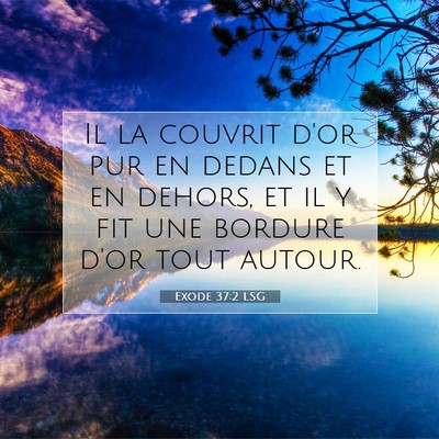 Picture 07 - Exode 37:2 LSG - Il la couvrit d'or pur en dedans et en dehors, et - Bible Verse Picture