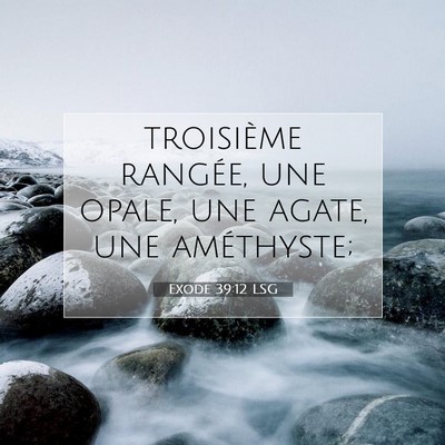 Picture 07 - Exode 39:12 LSG - troisième rangée, une opale, une agate, une - Bible Verse Picture