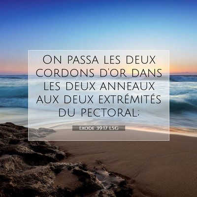 Picture 07 - Exode 39:17 LSG - On passa les deux cordons d'or dans les deux - Bible Verse Picture
