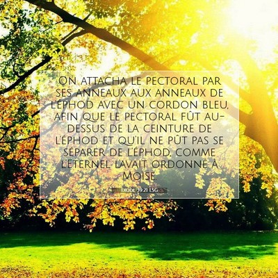 Picture 07 - Exode 39:21 LSG - On attacha le pectoral par ses anneaux aux - Bible Verse Picture