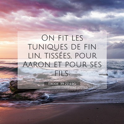 Picture 07 - Exode 39:27 LSG - On fit les tuniques de fin lin, tissées, pour - Bible Verse Picture