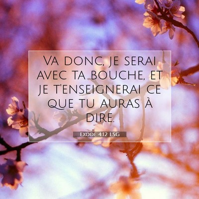 Picture 07 - Exode 4:12 LSG - Va donc, je serai avec ta bouche, et je - Bible Verse Picture