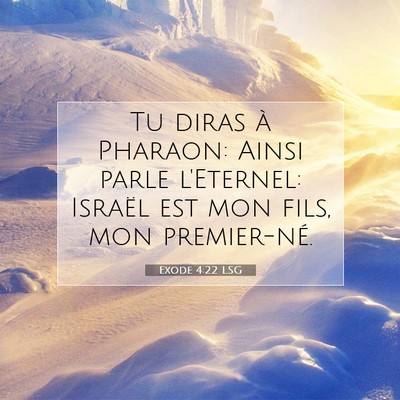 Picture 07 - Exode 4:22 LSG - Tu diras à Pharaon: Ainsi parle l'Eternel: - Bible Verse Picture