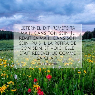 Picture 07 - Exode 4:7 LSG - L'Eternel dit: Remets ta main dans ton sein. Il - Bible Verse Picture