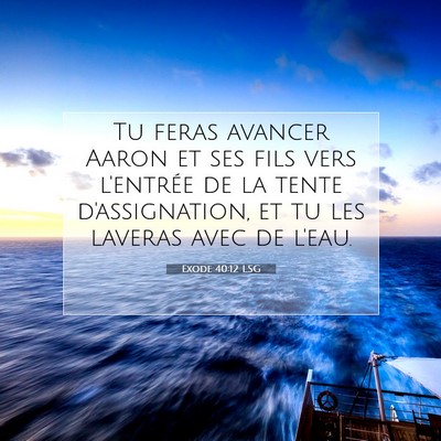 Picture 07 - Exode 40:12 LSG - Tu feras avancer Aaron et ses fils vers l'entrée - Bible Verse Picture