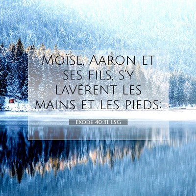 Picture 07 - Exode 40:31 LSG - Moïse, Aaron et ses fils, s'y lavèrent les - Bible Verse Picture