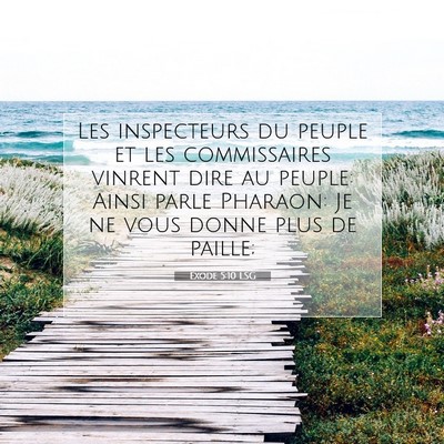 Picture 07 - Exode 5:10 LSG - Les inspecteurs du peuple et les commissaires - Bible Verse Picture