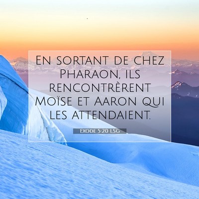 Picture 07 - Exode 5:20 LSG - En sortant de chez Pharaon, ils rencontrèrent - Bible Verse Picture