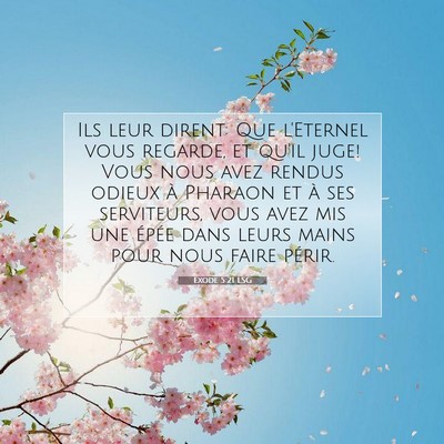Picture 07 - Exode 5:21 LSG - Ils leur dirent: Que l'Eternel vous regarde, et - Bible Verse Picture
