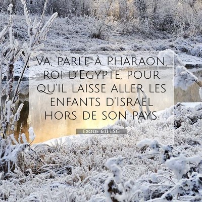 Picture 07 - Exode 6:11 LSG - Va, parle à Pharaon, roi d'Egypte, pour qu'il - Bible Verse Picture