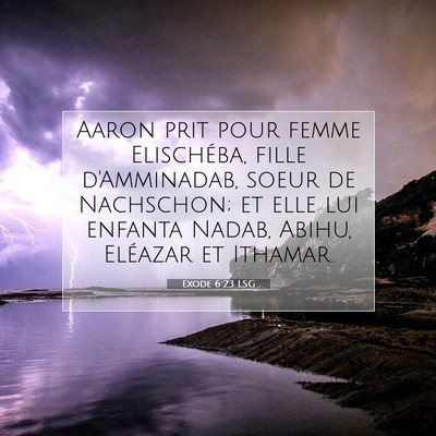 Picture 07 - Exode 6:23 LSG - Aaron prit pour femme Elischéba, fille - Bible Verse Picture