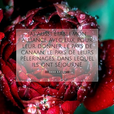 Picture 07 - Exode 6:4 LSG - J'ai aussi établi mon alliance avec eux, pour - Bible Verse Picture