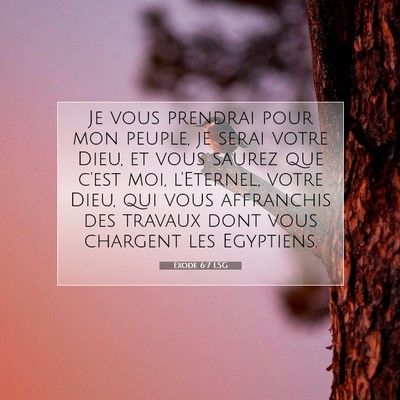 Picture 07 - Exode 6:7 LSG - Je vous prendrai pour mon peuple, je serai votre - Bible Verse Picture