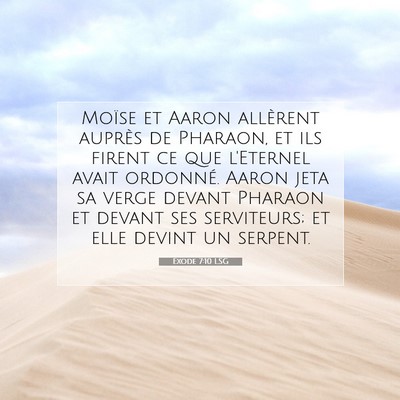 Picture 07 - Exode 7:10 LSG - Moïse et Aaron allèrent auprès de Pharaon, et - Bible Verse Picture