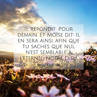 Picture 07 - Exode 8:10 LSG - Il répondit: Pour demain. Et Moïse dit: Il en - Bible Verse Picture